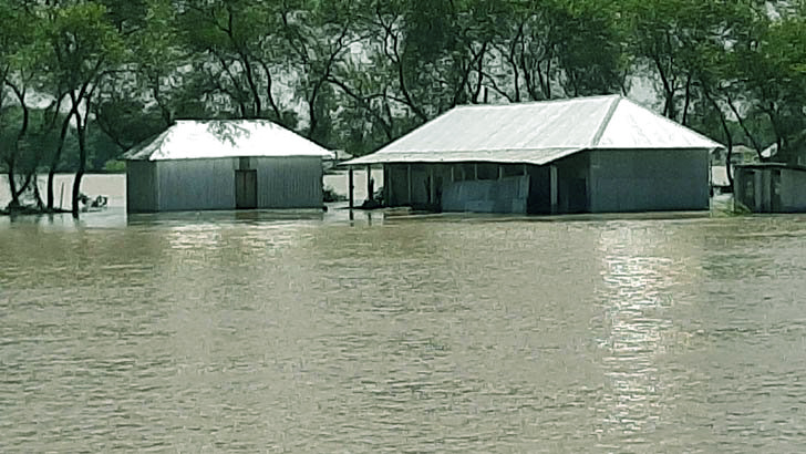 সাপ আতঙ্কে সাড়ে ৩ হাজার পরিবার