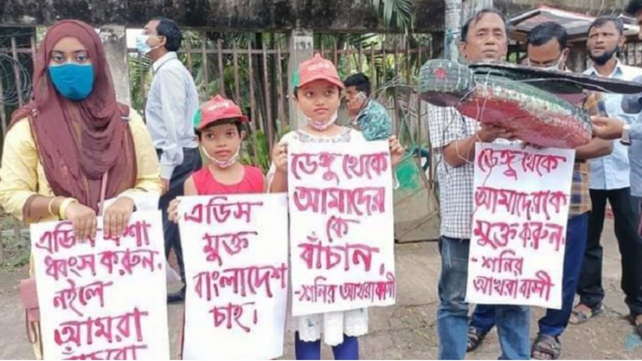 ‘ঢাকার ঘরে ঘরে ডেঙ্গু ছড়িয়েছে’