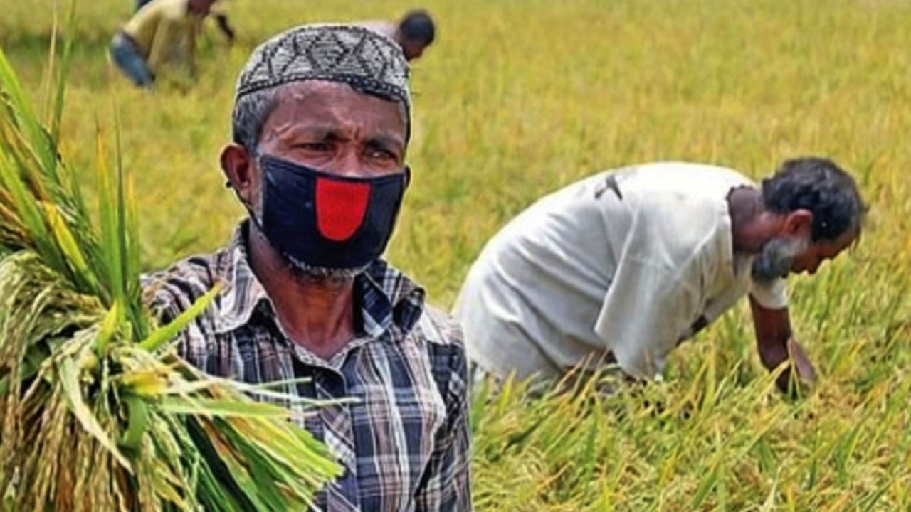 ৪ শতাংশ সুদে ঋণ পাবেন কৃষক