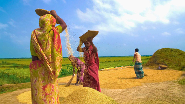 নবান্নের হাতছানি