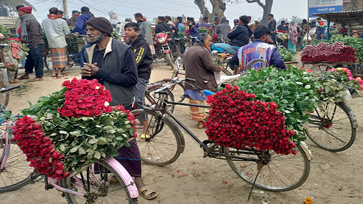 ফাগুন হাওয়ায় গাঁদা ফুলে আগুন, গোলাপের দামে রেকর্ড