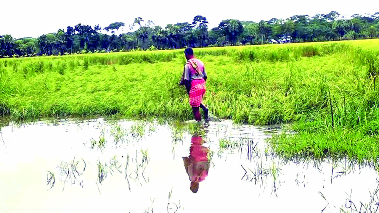 বরগুনায় ঘূর্ণিঝড় জাওয়াদের প্রভাবে জনজীবন বিপন্ন