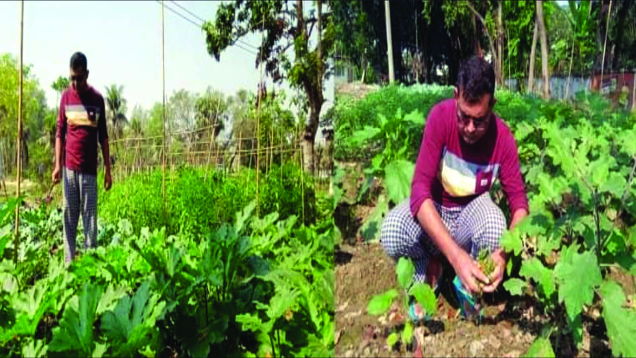 কুমিল্লা জেলা প্রশাসকের বাংলো এখন সবুজের সমারোহ