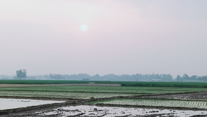 হিলিতে বেড়েছে শীতের দাপট