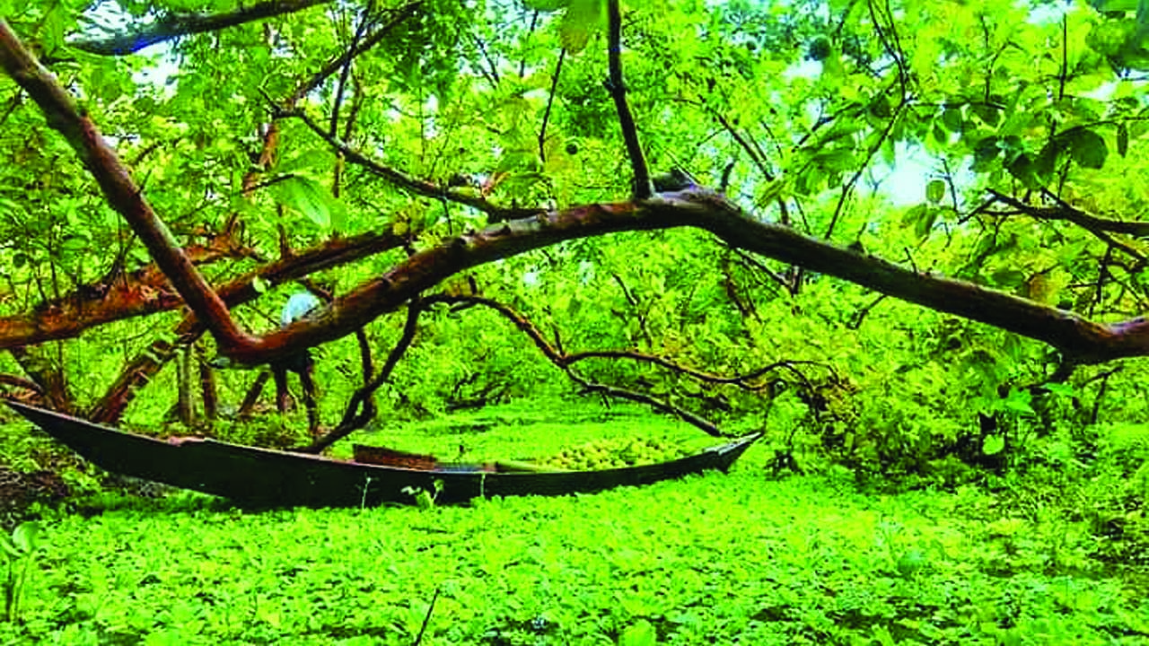 স্বরূপকাঠিতে  নির্মিত হচ্ছে আধুনিক ডাকবাংলো